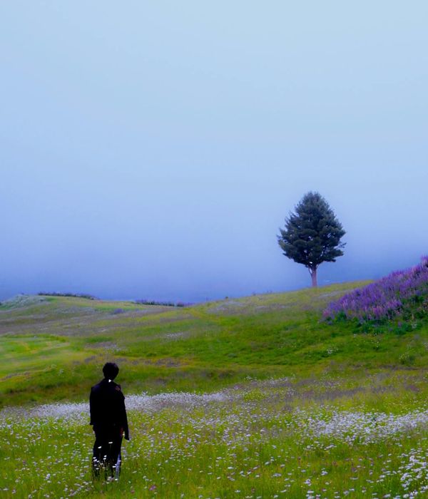 Person meditating peacefully in a natural setting with soft light.